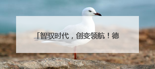 智驭时代，创变领航！德力西电气首席品牌官王策荣膺虎啸奖年度品牌人物