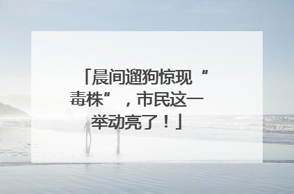 晨间遛狗惊现“毒株”，市民这一举动亮了！