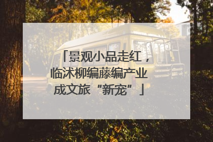 景观小品走红，临沭柳编藤编产业成文旅“新宠”