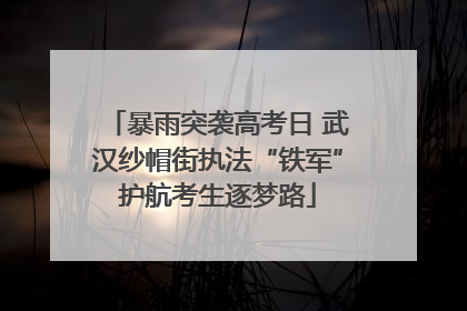 暴雨突袭高考日 武汉纱帽街执法“铁军”护航考生逐梦路