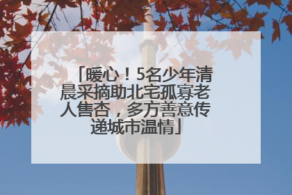 暖心！5名少年清晨采摘助北宅孤寡老人售杏，多方善意传递城市温情