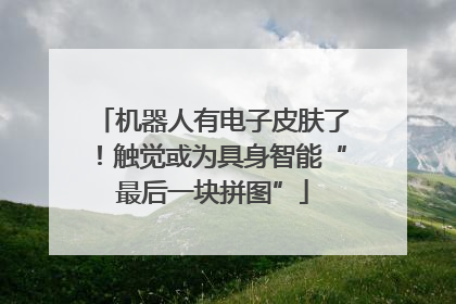 机器人有电子皮肤了！触觉或为具身智能“最后一块拼图”