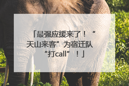最强应援来了！“天山来客”为宿迁队“打call”！