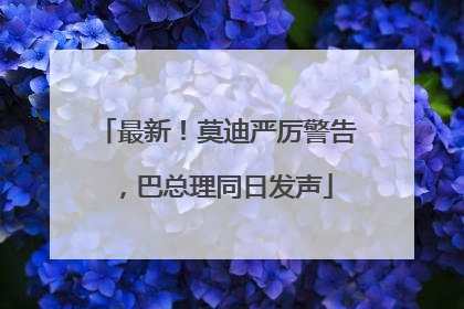 最新！莫迪严厉警告，巴总理同日发声