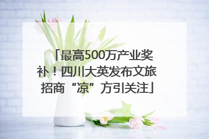 最高500万产业奖补！四川大英发布文旅招商“凉”方引关注