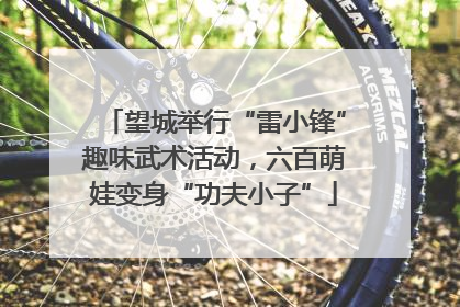望城举行“雷小锋”趣味武术活动，六百萌娃变身“功夫小子”