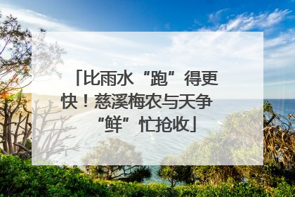 比雨水“跑”得更快！慈溪梅农与天争“鲜”忙抢收