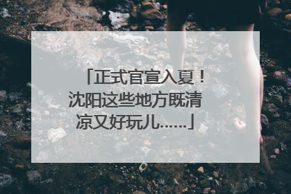 正式官宣入夏！沈阳这些地方既清凉又好玩儿……