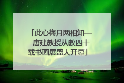 此心梅月两相知——唐建教授从教四十载书画展盛大开幕