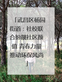 武昌区杨园街道：社校联合扮靓社区颜值 青春力量推动环保风尚