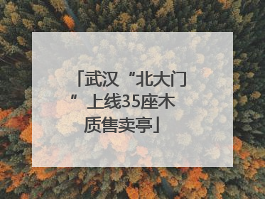 武汉“北大门”上线35座木质售卖亭