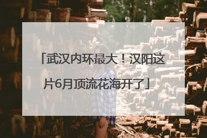 武汉内环最大！汉阳这片6月顶流花海开了