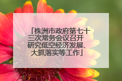 株洲市政府第七十三次常务会议召开 研究低空经济发展、大抓落实等工作