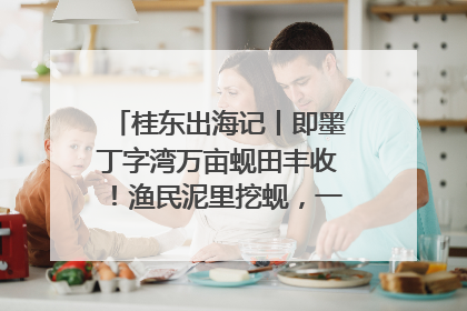 桂东出海记丨即墨丁字湾万亩蚬田丰收！渔民泥里挖蚬，一天上岸过千斤