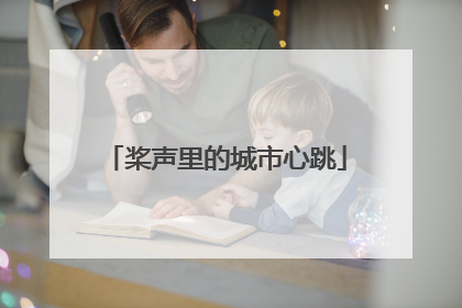 桨声里的城市心跳
