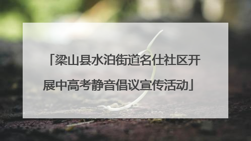 梁山县水泊街道名仕社区开展中高考静音倡议宣传活动
