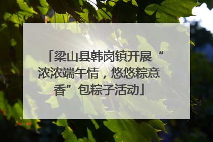 梁山县韩岗镇开展“浓浓端午情，悠悠粽意香”包粽子活动