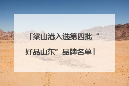 梁山港入选第四批“好品山东”品牌名单