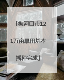 梅河口市121万亩旱田基本播种完成