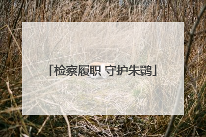检察履职 守护朱鹮