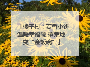楼子村：麦香小饼温暖幸福院 撂荒地变“金饭碗”