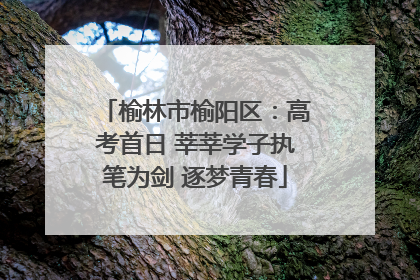 榆林市榆阳区：高考首日 莘莘学子执笔为剑 逐梦青春