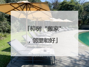 樟树“搬家”，邻里和好