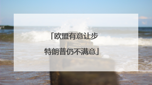 欧盟有意让步 特朗普仍不满意