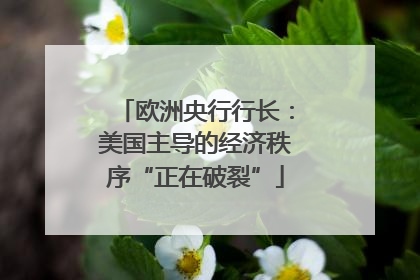 欧洲央行行长：美国主导的经济秩序“正在破裂”