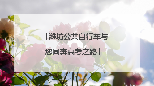 潍坊公共自行车与您同奔高考之路