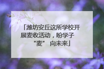 潍坊安丘这所学校开展麦收活动，盼学子 “麦” 向未来