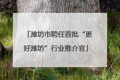 潍坊市聘任首批“更好潍坊”行业推介官