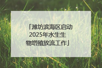 潍坊滨海区启动2025年水生生物增殖放流工作