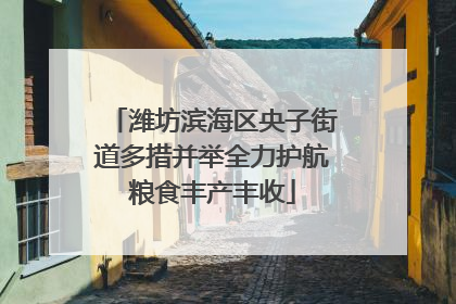 潍坊滨海区央子街道多措并举全力护航粮食丰产丰收