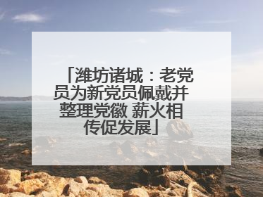 潍坊诸城：老党员为新党员佩戴并整理党徽 薪火相传促发展