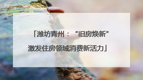 潍坊青州：“旧房焕新”激发住房领域消费新活力
