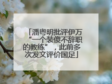 潘粤明批评伊万“一个装傻不辞职的教练”，此前多次发文评价国足