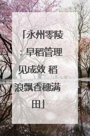 永州零陵：早稻管理见成效 稻浪飘香穗满田