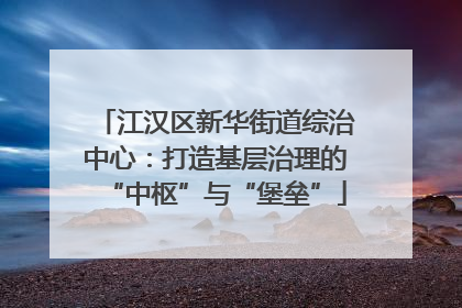 江汉区新华街道综治中心：打造基层治理的“中枢”与“堡垒”