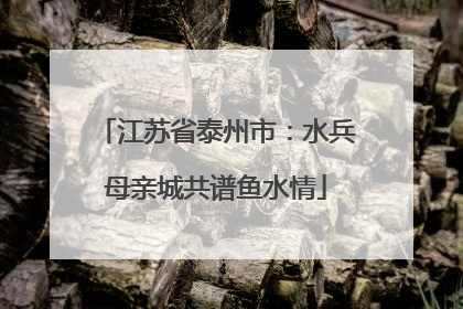 江苏省泰州市：水兵母亲城共谱鱼水情