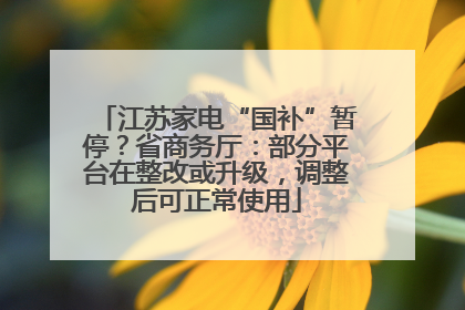 江苏家电“国补”暂停？省商务厅：部分平台在整改或升级，调整后可正常使用