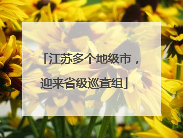 江苏多个地级市，迎来省级巡查组