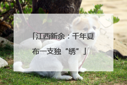 江西新余：千年夏布一支独“绣”