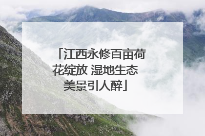 江西永修百亩荷花绽放 湿地生态美景引人醉
