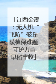江西金溪：无人机“飞防”破丘陵植保难题 守护万亩早稻丰收