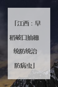 江西：早稻破口抽穗 统防统治防病虫