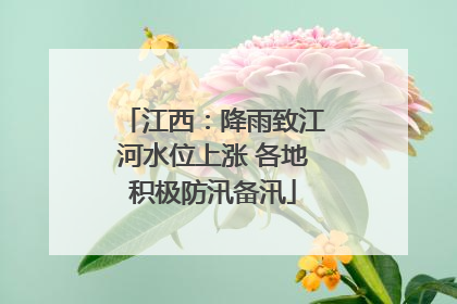 江西：降雨致江河水位上涨 各地积极防汛备汛