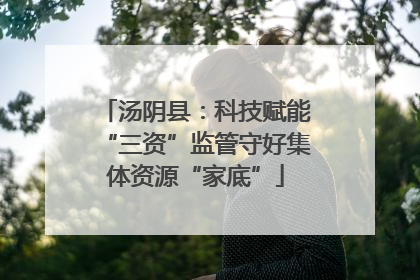汤阴县：科技赋能“三资”监管守好集体资源“家底”