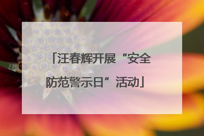 汪春辉开展“安全防范警示日”活动