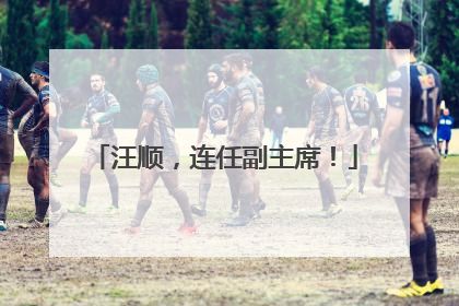 汪顺，连任副主席！